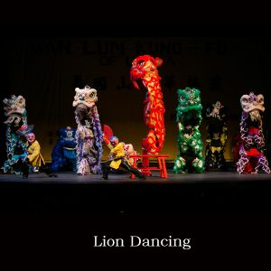 lion dancing shows
