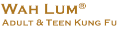 logo adult teen kung fu