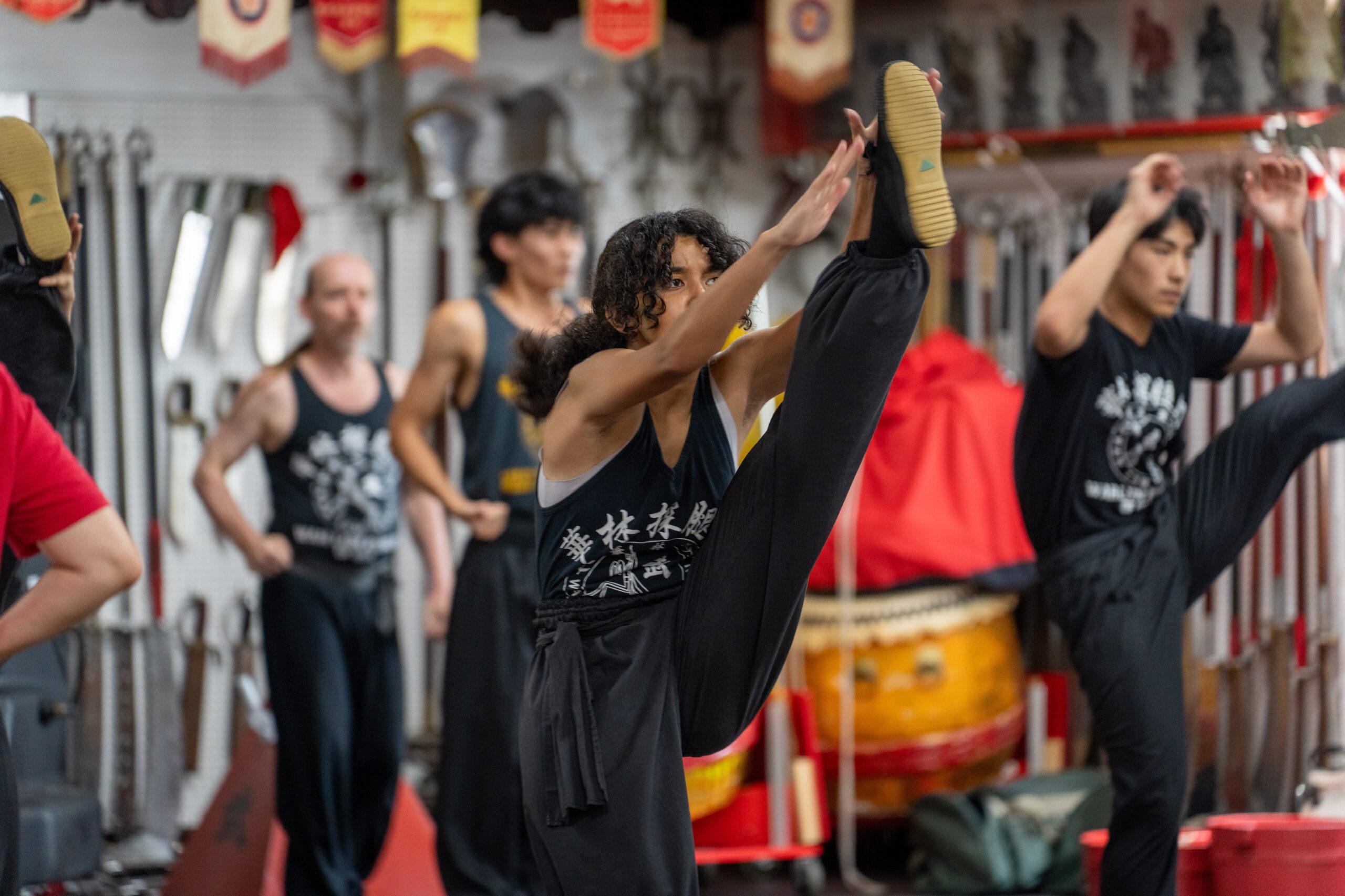 Adult Kung Fu Program