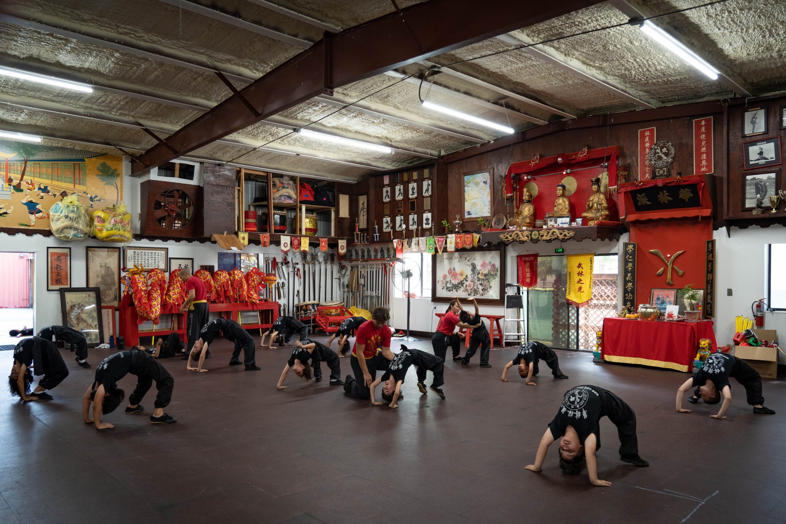 Little Mantis Kung Fu